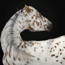 eye-crescented avatar