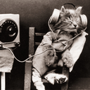 eye-of-the-purricane avatar