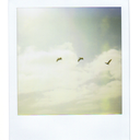 eyedentitytheft avatar