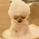 eyedontknow911 avatar