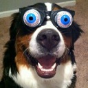 eyedontknowanymore avatar