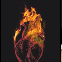 eyeliner-oreos avatar