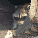 eyeofcompassion-blog avatar