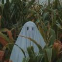 eyeofthetigerfw avatar