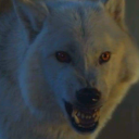 eyepatchmasterlist avatar