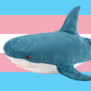 eyes-0f-ender avatar