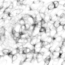 eyes-of-perception avatar