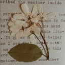 ezradoeswriting avatar