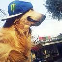 ezraisfallingapart2 avatar