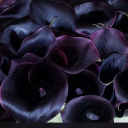 ezrasdeepestdesires avatar