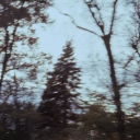 f0rest-creature avatar