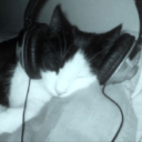 f0rg0t-h3r-n0t avatar