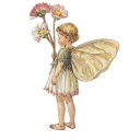 f4irydaydreams avatar