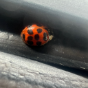 fa1rypr1ncess6 avatar