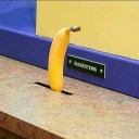 faavidnerds06 avatar