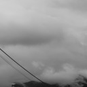 fabionocerino avatar