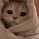 fabiotheguitar avatar