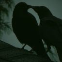 fabledforestmarket avatar