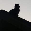 fables-of-the avatar