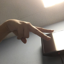 fabulous-snek avatar