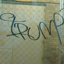 fabulous-unicorn1 avatar