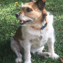 fabulousbitch87 avatar