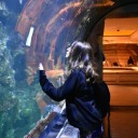 fabulousfcktard avatar