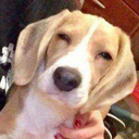 faceless-himbo avatar