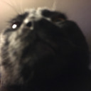facescomeoutintherain avatar