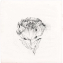 factoryofsomething avatar