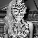 factsaboutgaga avatar