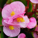 faded-love-letters avatar