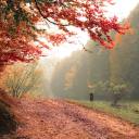 faded-screams avatar