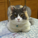 fadedexistence avatar