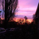 fading-rainbow avatar