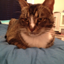 fadingdoodles avatar