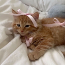 fadingmiseryy avatar