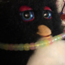 faerie-furbies avatar