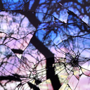 faerie-pirate avatar