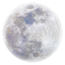 faeriegardenz avatar