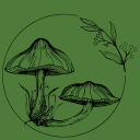 faerielifestyle avatar