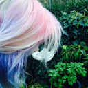 faerieyaki avatar