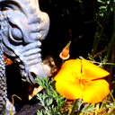 faeryecologist avatar