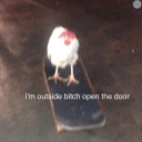 fags-and-logic avatar