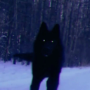 fagsnfangs avatar