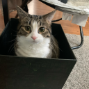 failedtrekvessel avatar