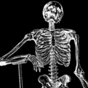 failin-artist avatar