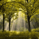 failingexcuses avatar