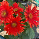 failsandfalls avatar