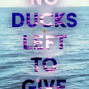 failure-of-a-student avatar